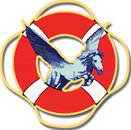 Pegasus Shipping Services